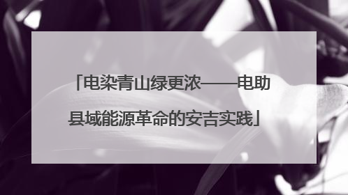 电染青山绿更浓——电助县域能源革命的安吉实践
