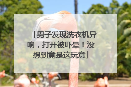 男子发现洗衣机异响，打开被吓晕！没想到竟是这玩意