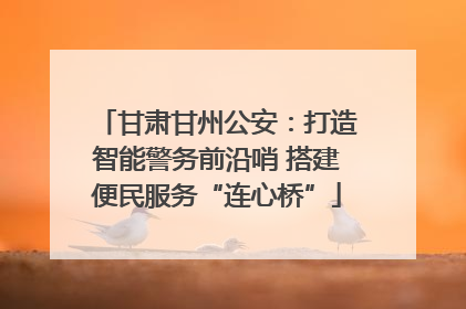 甘肃甘州公安：打造智能警务前沿哨 搭建便民服务“连心桥”
