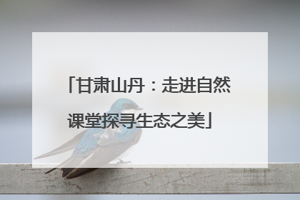 甘肃山丹：走进自然课堂探寻生态之美