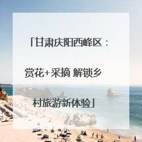 甘肃庆阳西峰区：赏花+采摘 解锁乡村旅游新体验