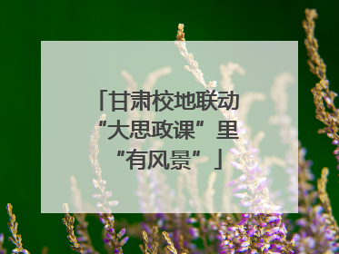 甘肃校地联动“大思政课”里“有风景”