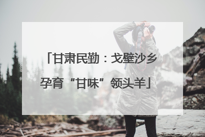 甘肃民勤：戈壁沙乡孕育“甘味”领头羊