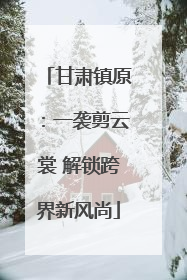 甘肃镇原：一袭剪云裳 解锁跨界新风尚