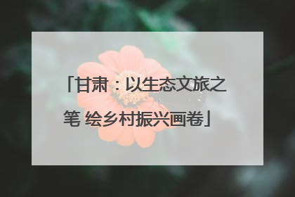 甘肃：以生态文旅之笔 绘乡村振兴画卷