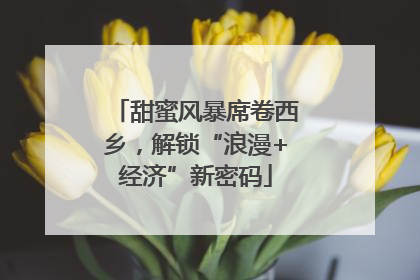 甜蜜风暴席卷西乡，解锁“浪漫+经济”新密码