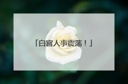 白宫人事震荡！