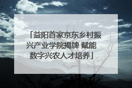 益阳首家京东乡村振兴产业学院揭牌 赋能数字兴农人才培养