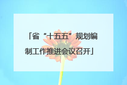省“十五五”规划编制工作推进会议召开