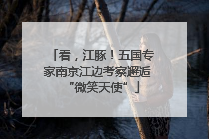 看，江豚！五国专家南京江边考察邂逅“微笑天使”