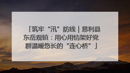 筑牢“汛”防线｜慈利县东岳观镇：用心用情架好党群温暖悠长的“连心桥”