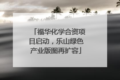 福华化学合资项目启动，乐山绿色产业版图再扩容