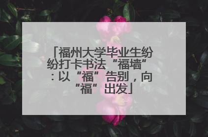 福州大学毕业生纷纷打卡书法“福墙”：以“福”告别，向“福”出发