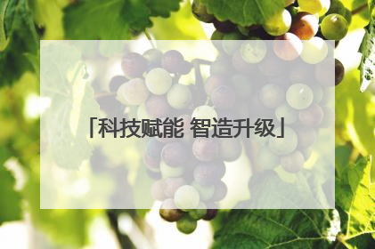 科技赋能 智造升级