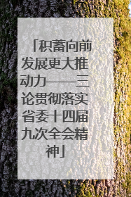 积蓄向前发展更大推动力——三论贯彻落实省委十四届九次全会精神