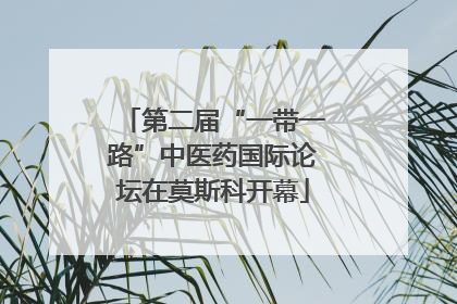 第二届“一带一路”中医药国际论坛在莫斯科开幕