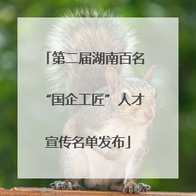 第二届湖南百名“国企工匠”人才宣传名单发布
