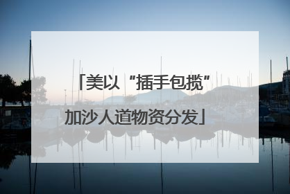 美以“插手包揽”加沙人道物资分发