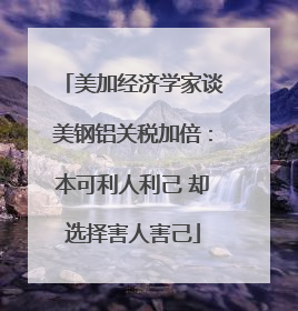 美加经济学家谈美钢铝关税加倍：本可利人利己 却选择害人害己