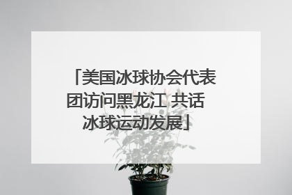 美国冰球协会代表团访问黑龙江 共话冰球运动发展