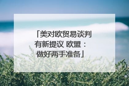美对欧贸易谈判有新提议 欧盟：做好两手准备