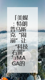 美媒：特朗普马斯克“闹崩”让“科技右翼”与MAGA的不和公开化