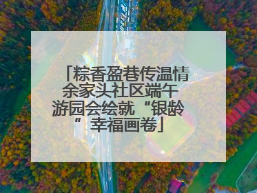 粽香盈巷传温情 余家头社区端午游园会绘就“银龄”幸福画卷