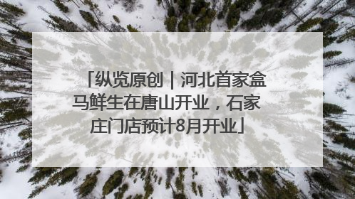 纵览原创｜河北首家盒马鲜生在唐山开业，石家庄门店预计8月开业