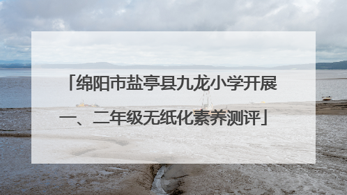 绵阳市盐亭县九龙小学开展一、二年级无纸化素养测评