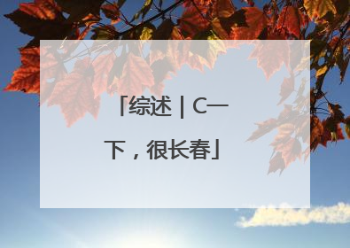 综述｜C一下，很长春
