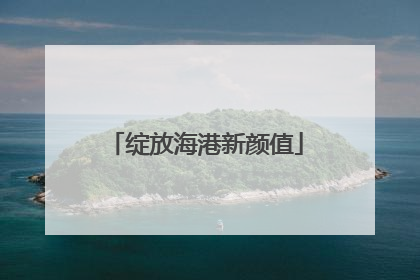 绽放海港新颜值