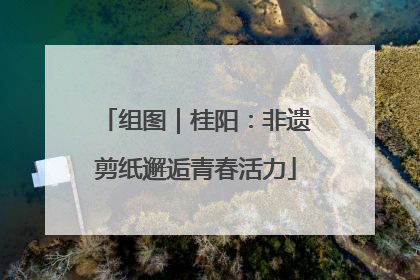 组图｜桂阳：非遗剪纸邂逅青春活力