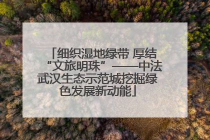细织湿地绿带 厚结“文旅明珠”——中法武汉生态示范城挖掘绿色发展新动能
