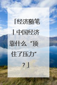 经济随笔丨中国经济靠什么“顶住了压力”？