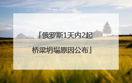 俄罗斯1天内2起桥梁坍塌原因公布