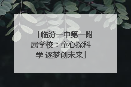 临汾一中第一附属学校：童心探科学 逐梦创未来