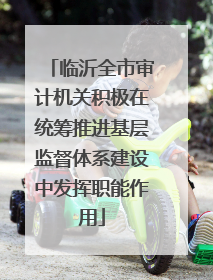 临沂全市审计机关积极在统筹推进基层监督体系建设中发挥职能作用