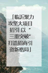 临沂聚力攻坚大项目招引 以“三重突破”打造招商引资新格局