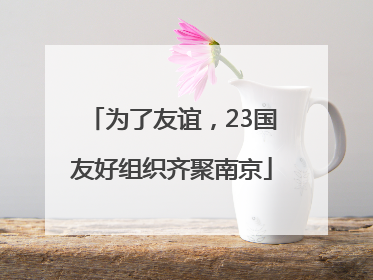 为了友谊，23国友好组织齐聚南京