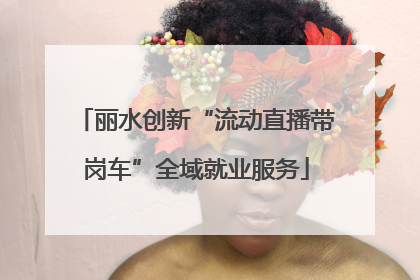 丽水创新“流动直播带岗车”全域就业服务