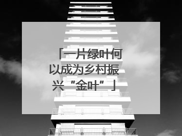 一片绿叶何以成为乡村振兴“金叶”