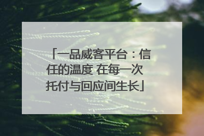 一品威客平台：信任的温度 在每一次托付与回应间生长