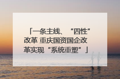 一条主线、“四性”改革 重庆国资国企改革实现“系统重塑”