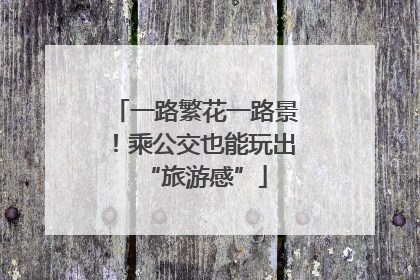 一路繁花一路景！乘公交也能玩出“旅游感”