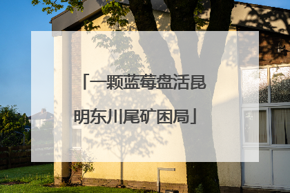 一颗蓝莓盘活昆明东川尾矿困局