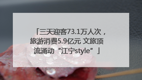三天迎客73.1万人次，旅游消费5.9亿元 文旅顶流涌动“江宁style”