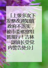 上级多次下发整改通知镇政府不落实，被市委巡察组抓现行！吉林一副镇长受党内警告处分