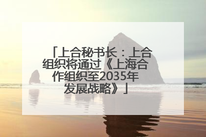 上合秘书长：上合组织将通过《上海合作组织至2035年发展战略》