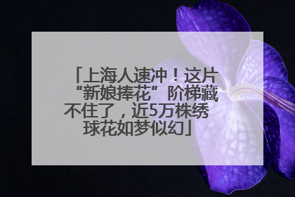上海人速冲！这片“新娘捧花”阶梯藏不住了，近5万株绣球花如梦似幻