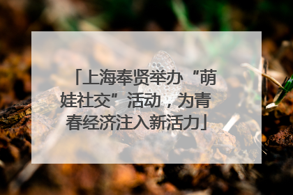 上海奉贤举办“萌娃社交”活动，为青春经济注入新活力